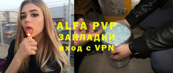 дурь Инта