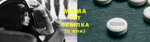 дурь Инта