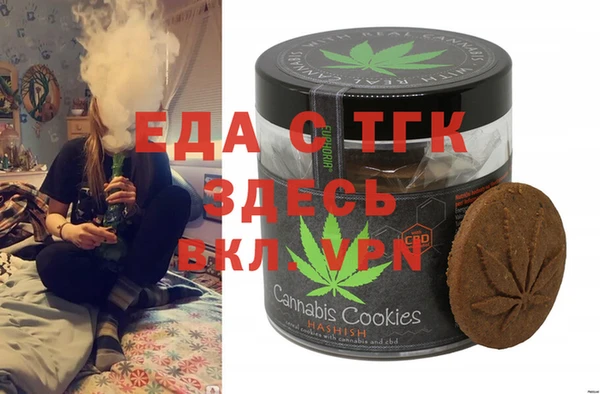 дурь Инта