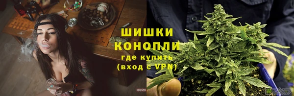 дурь Инта